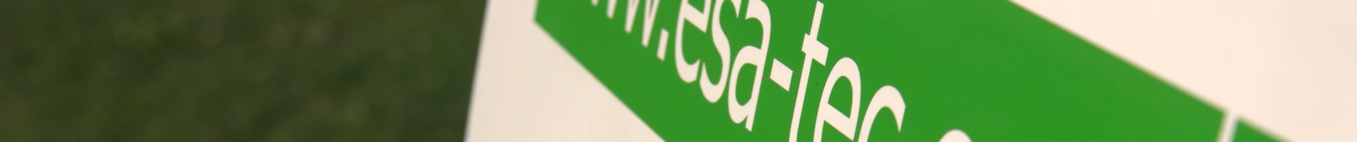 ESAtec Schriftzug Auto